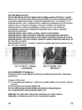 Sencor SDB 1015T