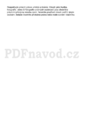 Pinacle Studio 18