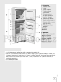 Gorenje RF 60309 OCHL