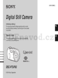 Sony DSC-P93
