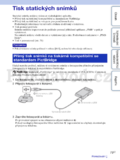 Sony DSC-S1900/