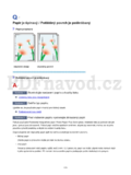 Canon TS8000 series