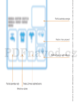 Bosch WAB 20060BY