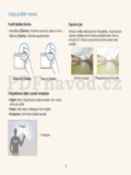 Samsung PL20