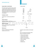 Samsung SGH-C100