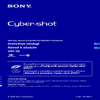 Sony DSC-N2