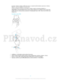 Sony Xperia™ Z5E6603