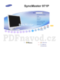 Samsung SyncMaster 971P