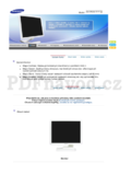 Samsung SyncMaster 971P