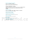 Sony Ericsson J10i Elm