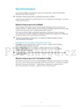 Sony Ericsson J10i Elm