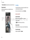 Samsung Galaxy Note 2 GT-N7100
