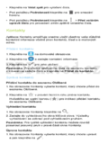 Coolpad Modena (E501)