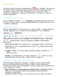 Coolpad Modena (E501)