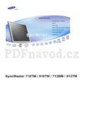 Samsung SyncMaster 713BM