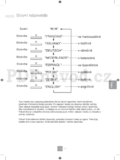 Panasonic NN-GD452WEPG
