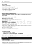Nokia Asha 201