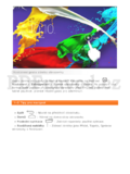 Lenovo TAB 2 A10-70