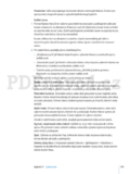 Apple iPad 2