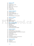 Apple iPad 2