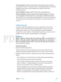 Apple iPad 2