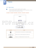 Samsung S19C300B