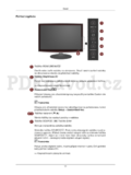 Samsung T190P