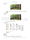 Samsung T190P
