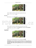 Samsung T190P