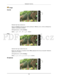 Samsung T190P
