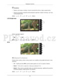 Samsung T190P