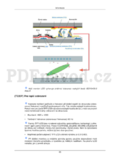 Samsung T190P