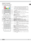 ECG 32 LED 601 PVR