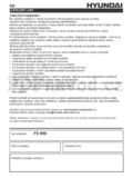 Hyundai FS 996