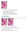 HP Deskjet 5160
